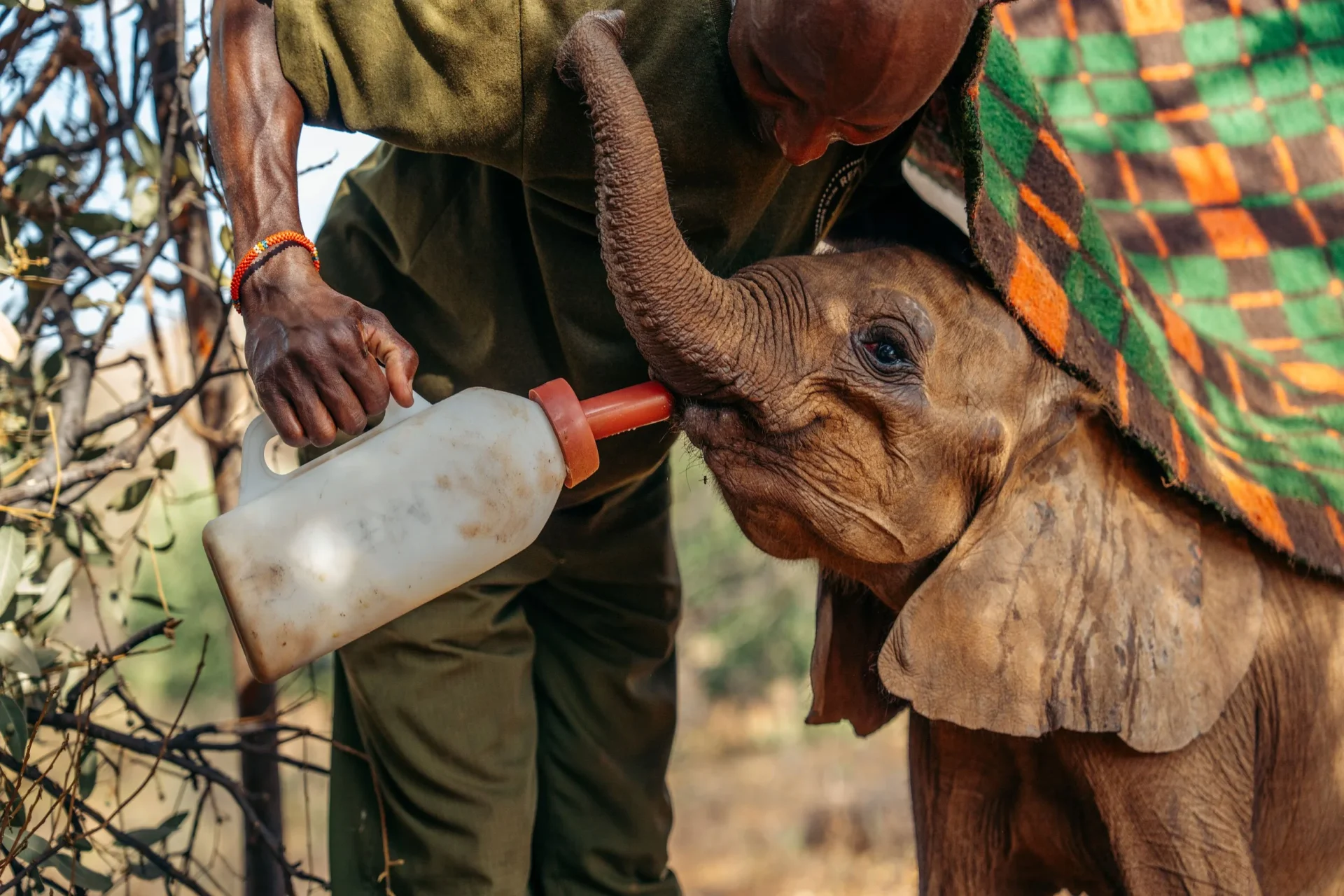 Reteti Elephant Sanctuary