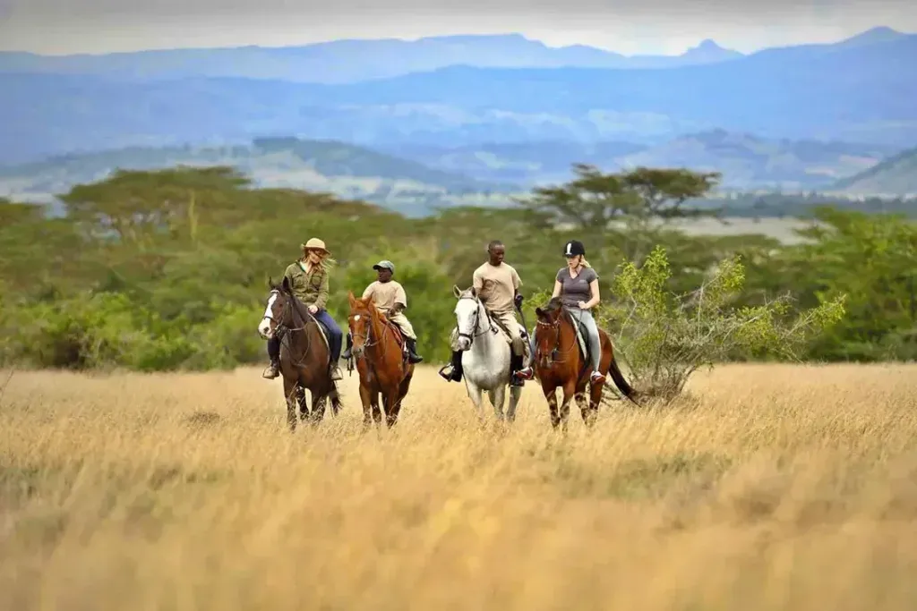 Horse Riding Safaris