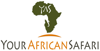 Your African Safari logo