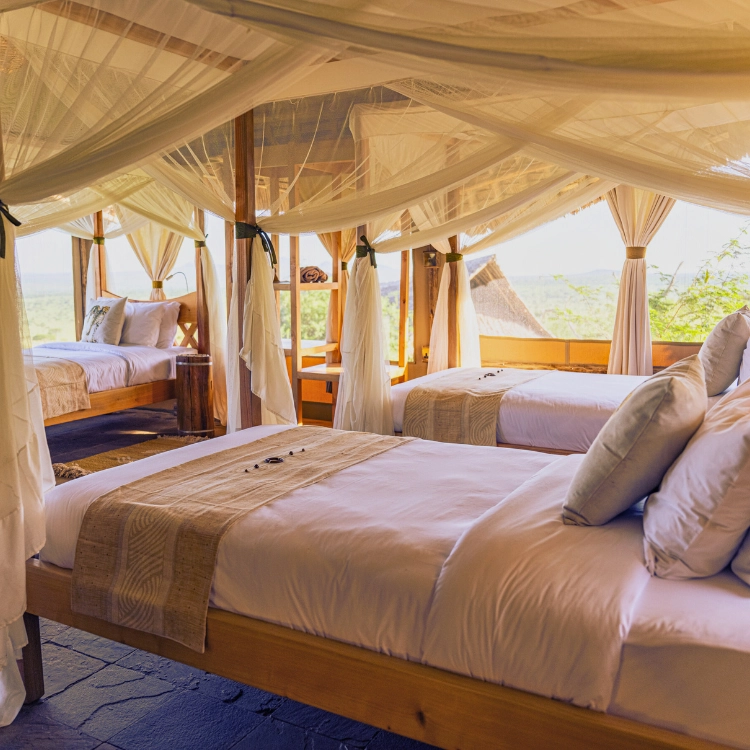 Soroi Cheetah Tented Camp 1