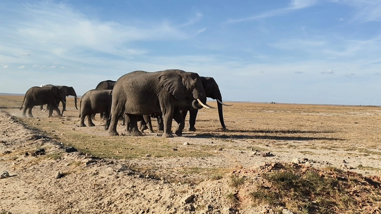 Amboseli National Park