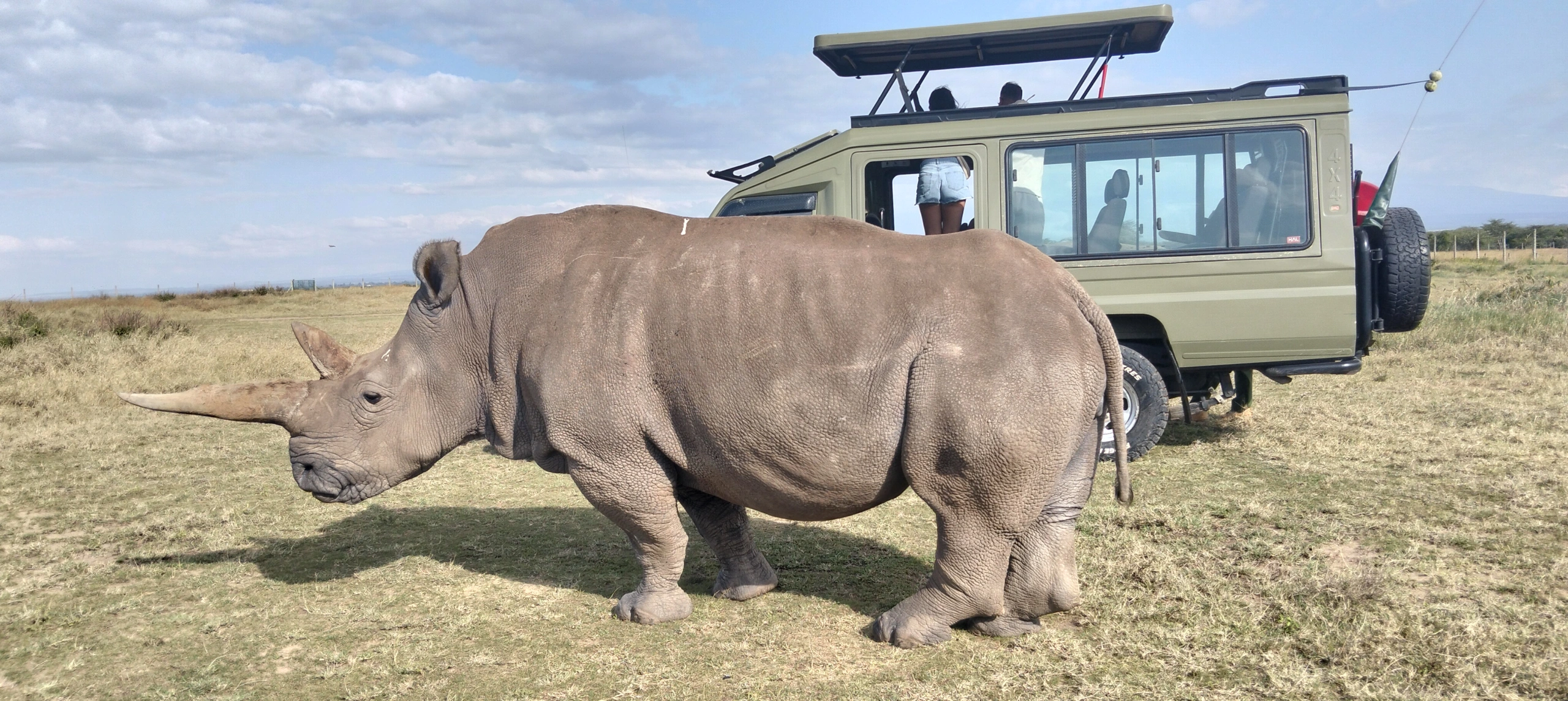 Ol Pejeta Conservancy safari landscape
