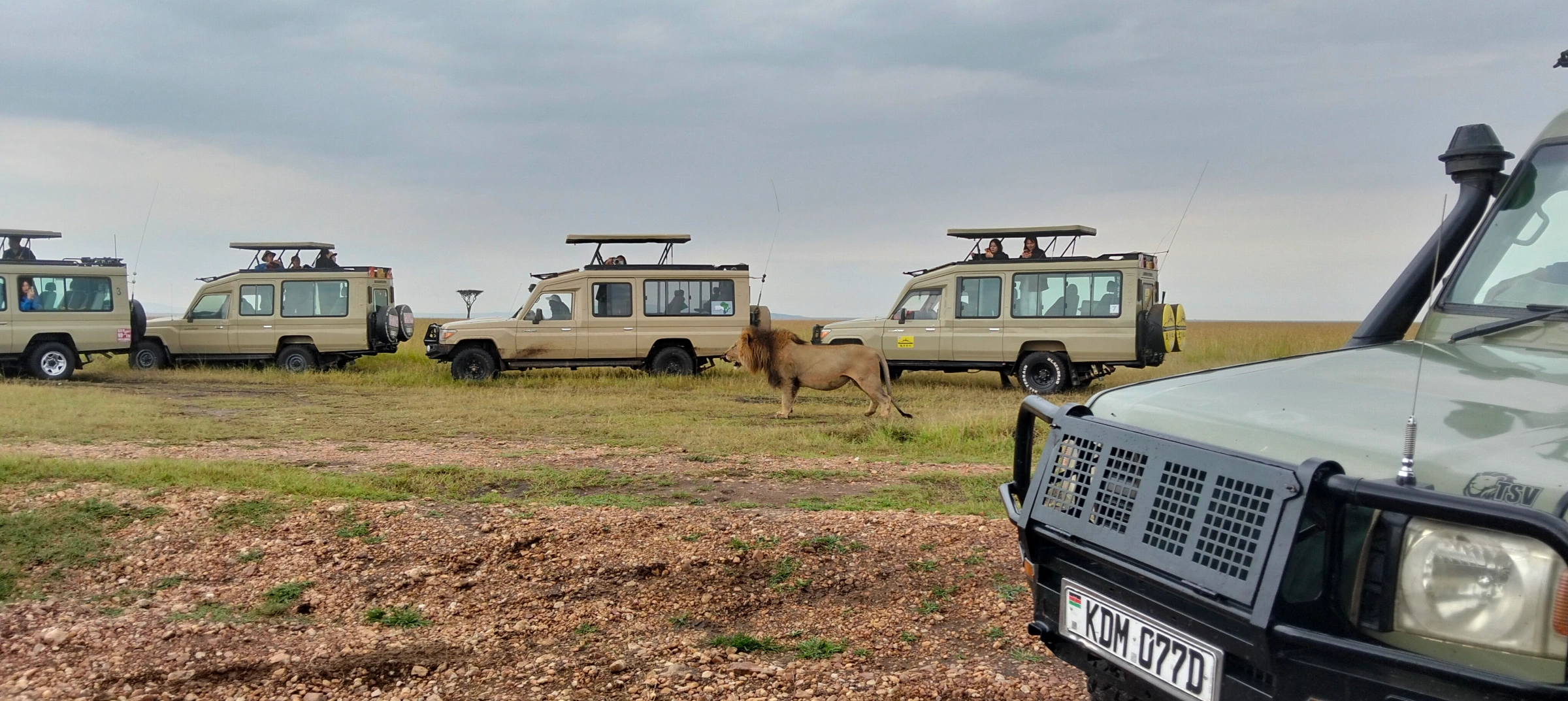 5 Day Kenya Safari of Lakes and Maasai Mara Magic